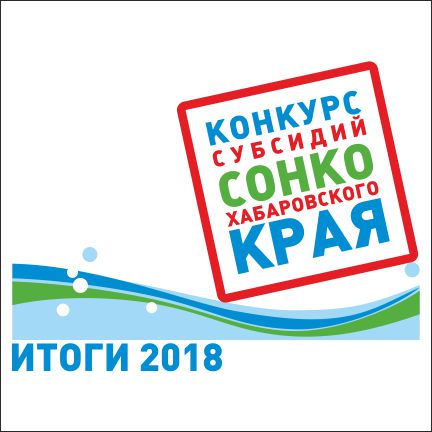 Подведены итоги ежегодного конкурса субсидий в поддержку СО НКО Хабаровского края